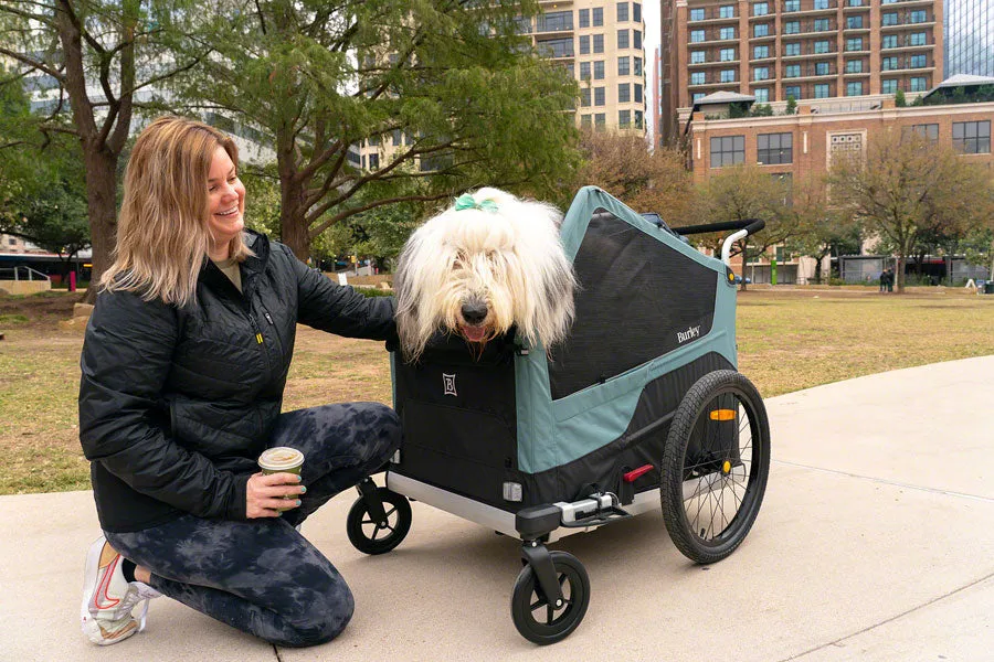 Burley Bark Ranger Pet Trailer