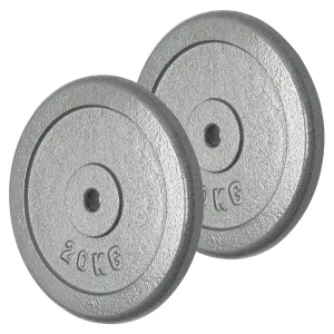 Hammerstone Plates - 20kg