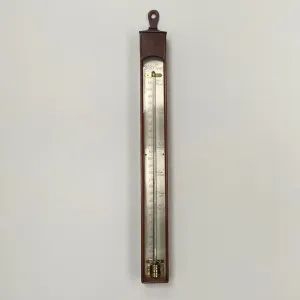 Large Eighteenth Century Mahogany Wall Thermometer by Polti of Exon